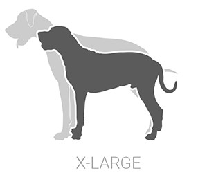 Large Dog Euthanasia