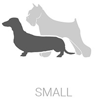 Small Dog Euthanasia