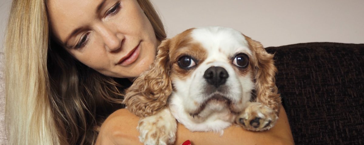 In-home Pet Euthanasia in the UK