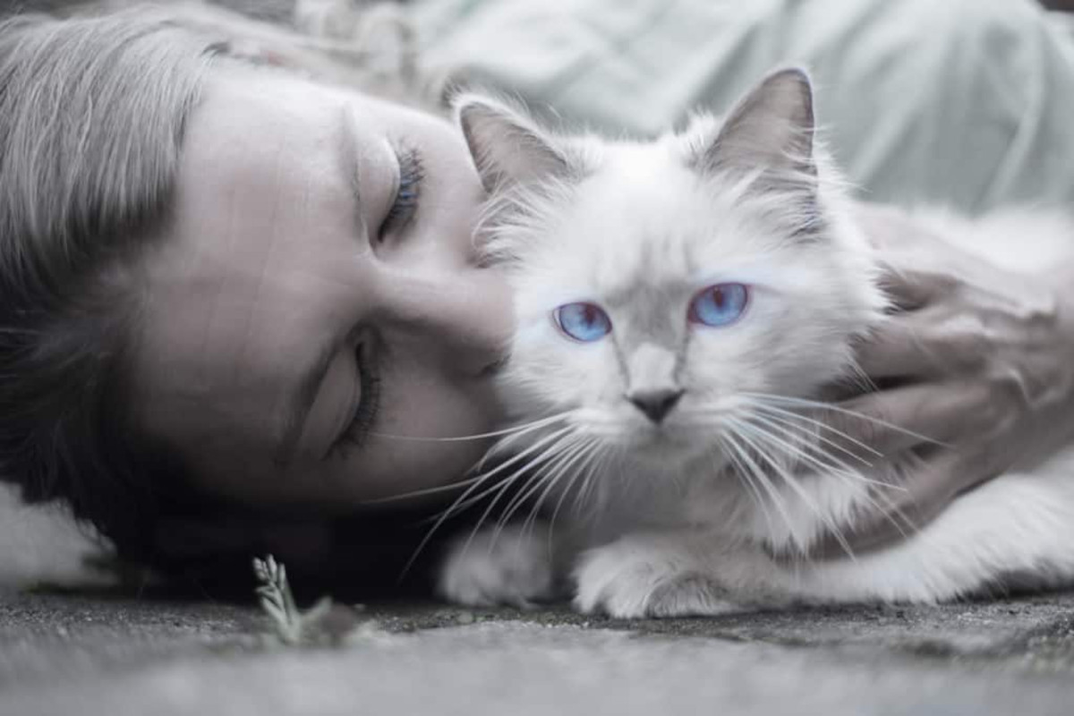 Woman kissing white cat