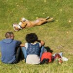 Dog laying in garden with owners