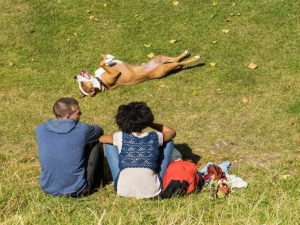 Dog laying in garden with owners