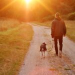 Man walking a dog at sunset