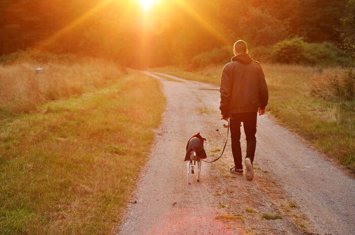 Man walking a dog at sunset