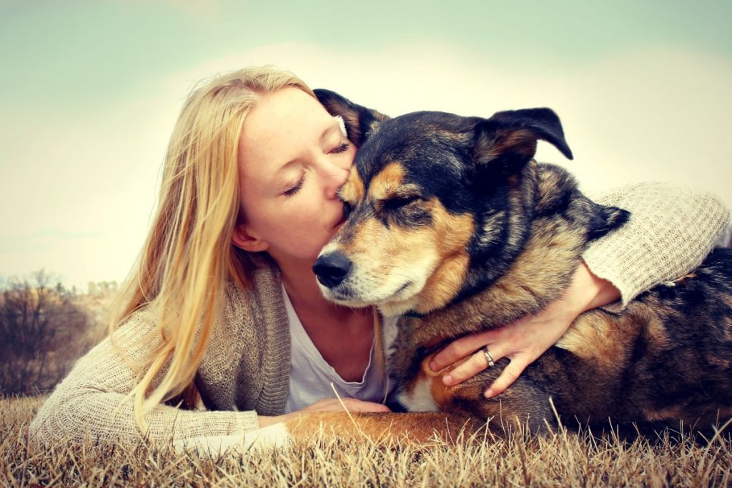 Dog Euthanasia and Kidney Failure - When To Consider Pet Euthanasia