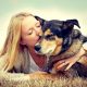 Dog Euthanasia and Kidney Failure - When To Consider Pet Euthanasia
