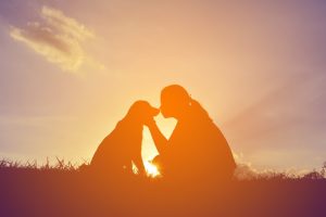 Silhouette of dog and girl