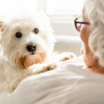 White dog sitting on woman's chest