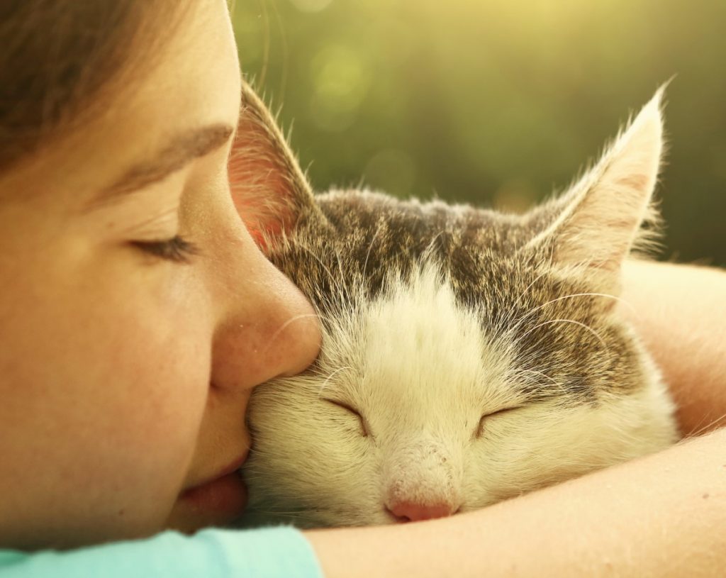 Girl kissing cat