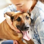 Woman stroking dog