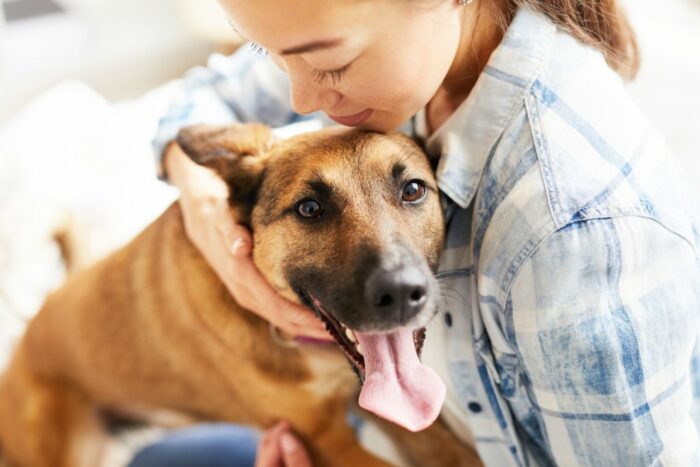 Woman stroking dog