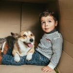 Boy, Dog and cat in cardboard box