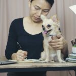 Dog sat on desk with woman writing