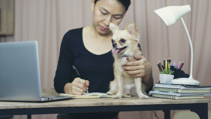 Dog sat on desk with woman writing