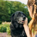 Girl stroking black dog