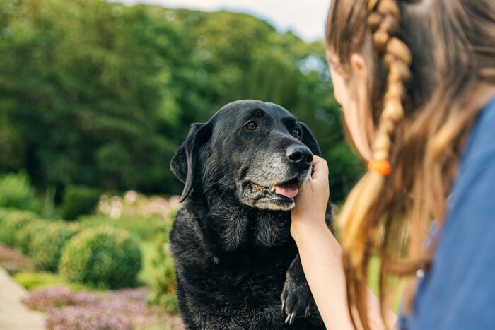 Girl stroking black dog