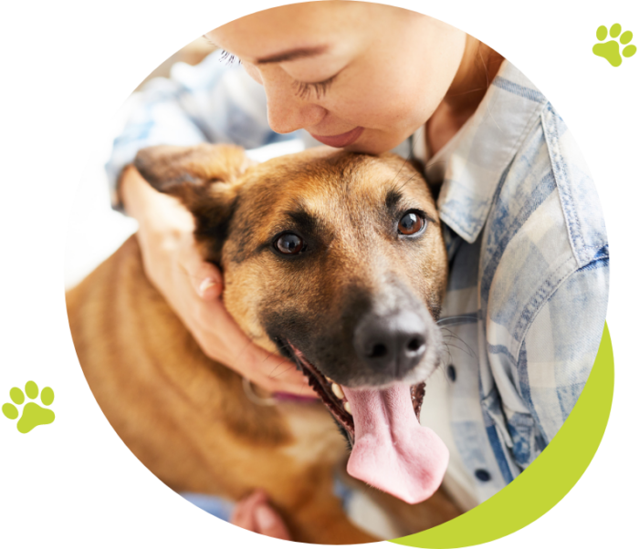 Areas We Cover Throughout The UK | Cloud 9 Vets