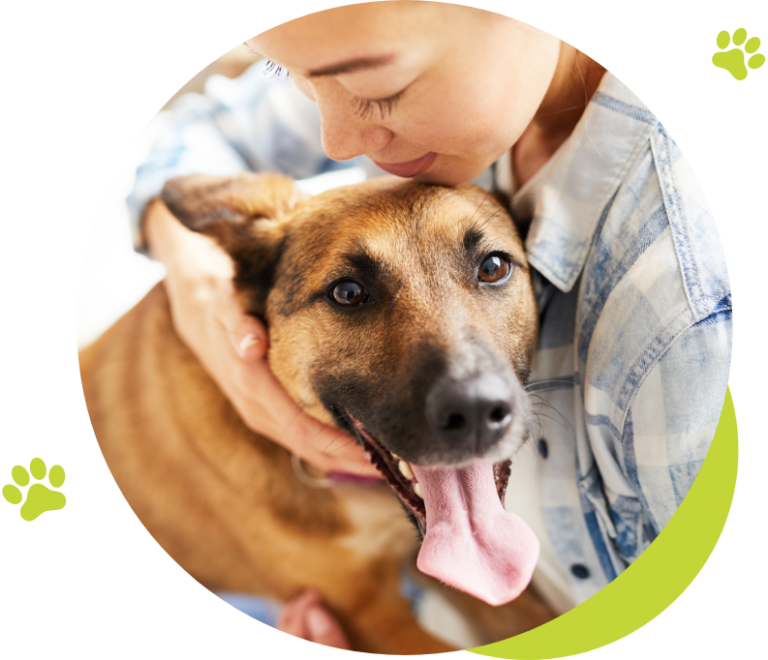 Areas We Cover Throughout The UK | Cloud 9 Vets