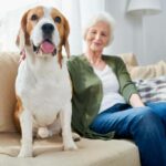 Dog sitting on sofa with old woman