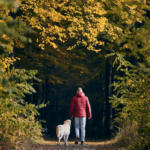 Man and dog walking through woods