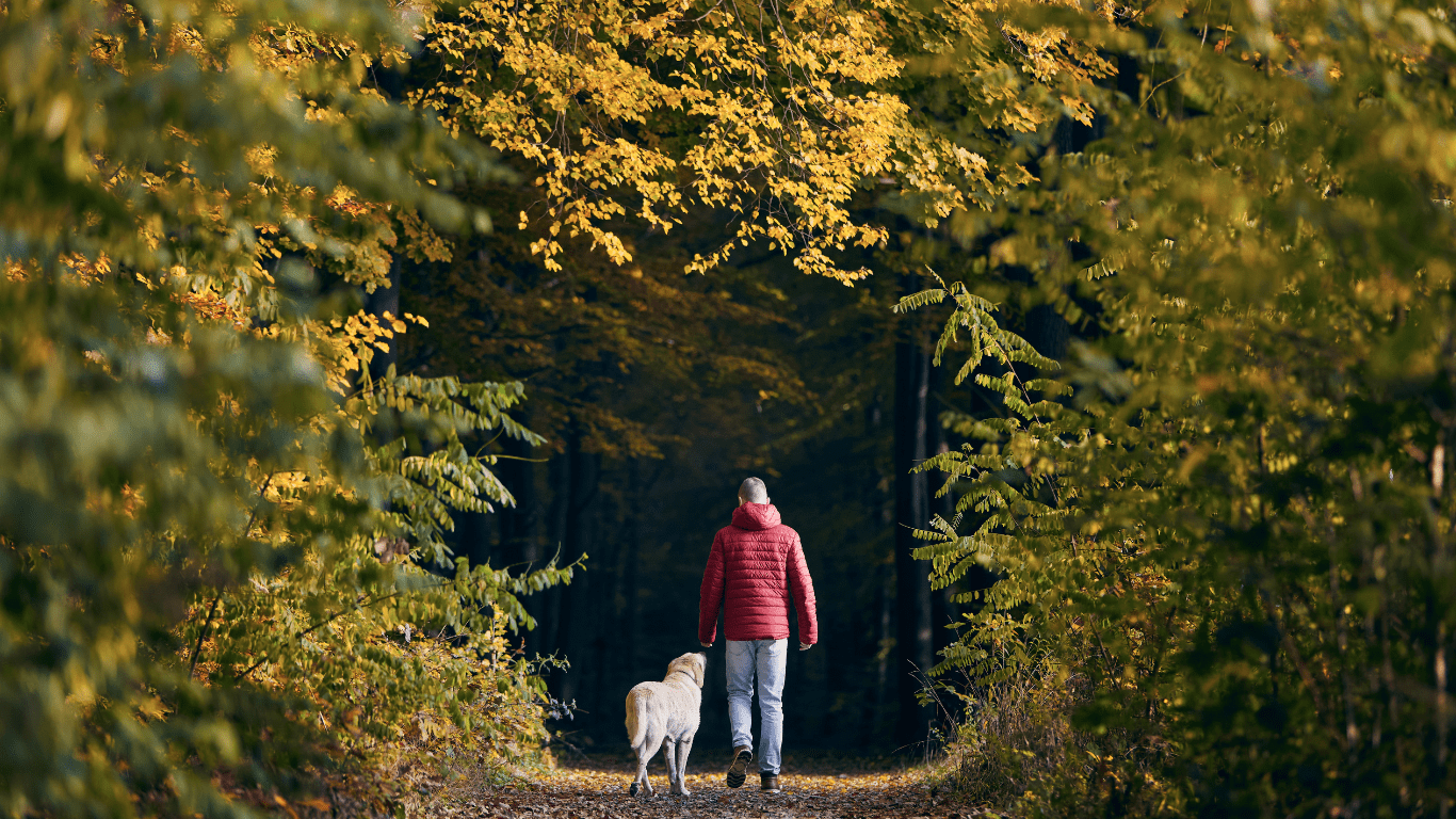 Man and dog walking through woods