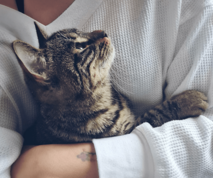 Saying Goodbye To A Pet At Christmas