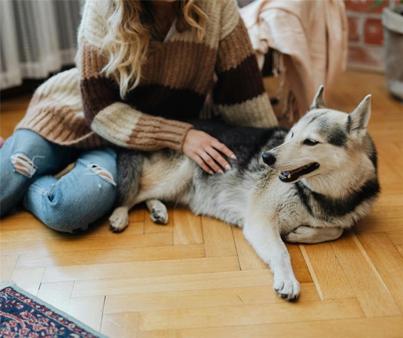 Woman stroking white and grey dog