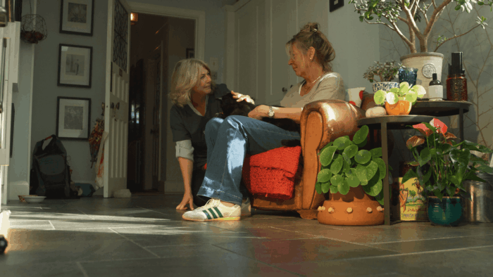 Saying goodbye at home: the option missing from the new vet price list