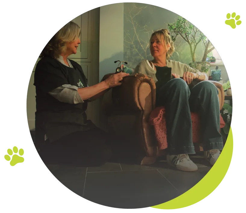 Cloud 9 Vets Care Coordinator talking with a pet owner at home