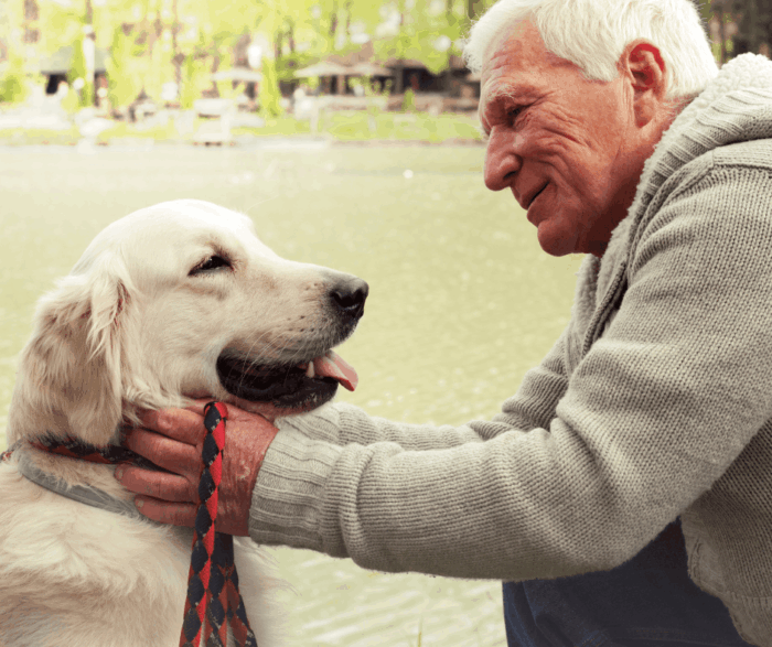 Grey haired man stroking dog