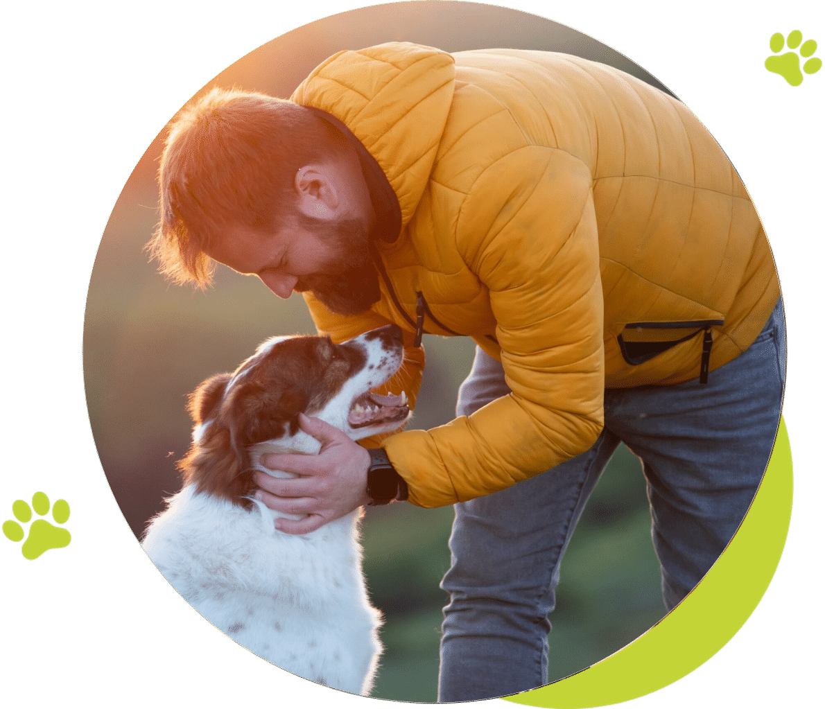 Man gently holding his dog's face at sunset