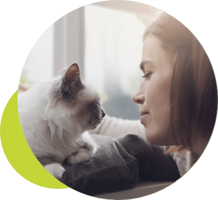 Woman sharing a quiet moment with her white cat